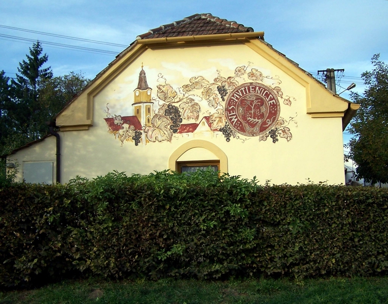 fotografie z akce Slováckými vinohrady