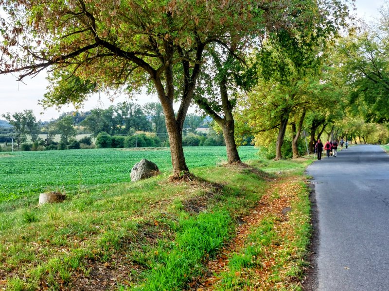 fotografie z akce ... a zpět na Blaník/10. etapa