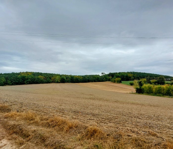 fotografie z akce ... a zpět na Blaník/10. etapa