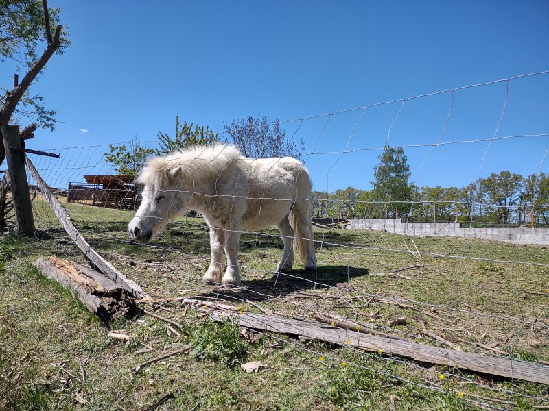 fotografie z akce ... a zpět na Blaník/12. etapa