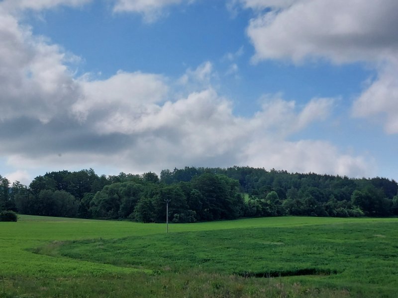 fotografie z akce ... a zpět na Blaník/13. etapa