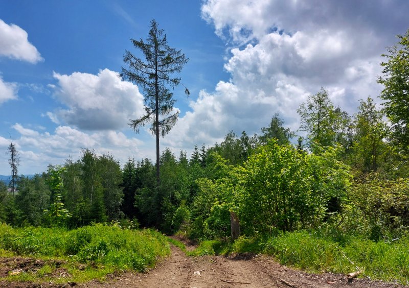 fotografie z akce ... a zpět na Blaník/13. etapa