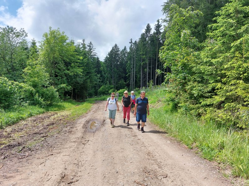 fotografie z akce ... a zpět na Blaník/13. etapa