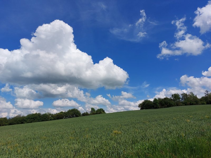 fotografie z akce ... a zpět na Blaník/13. etapa