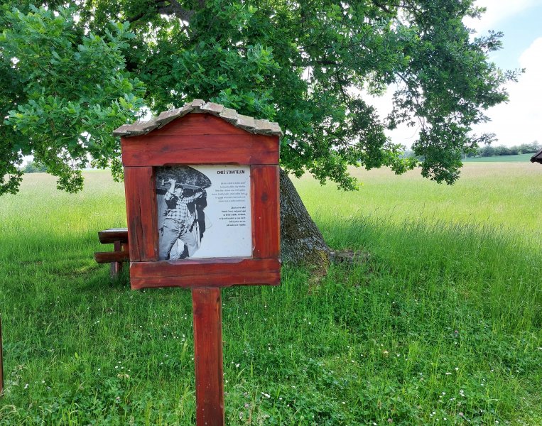 fotografie z akce ... a zpět na Blaník/13. etapa