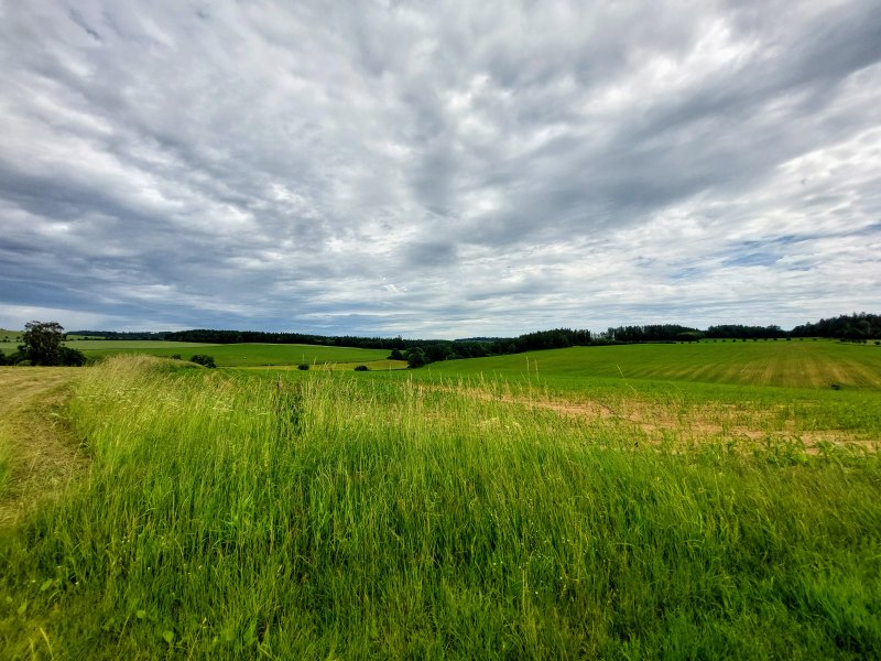 fotografie z akce ... a zpět na Blaník/14. etapa