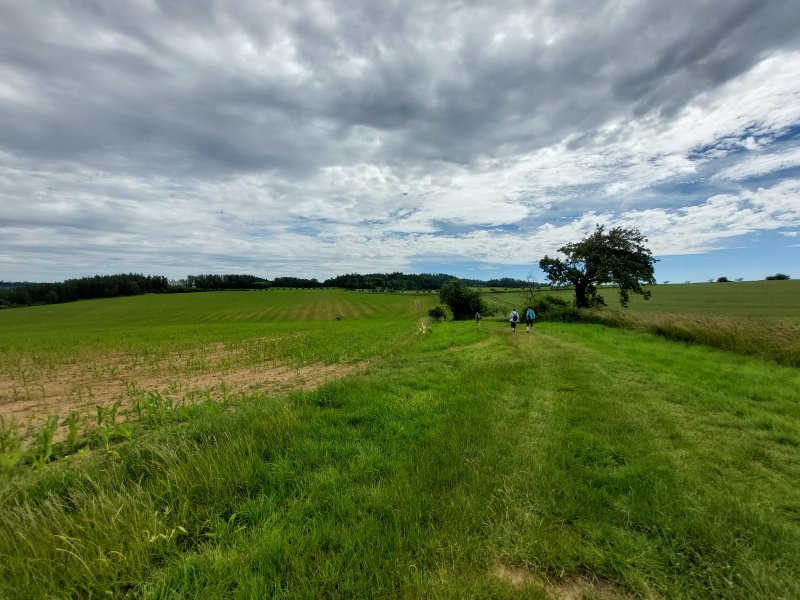 fotografie z akce ... a zpět na Blaník/14. etapa