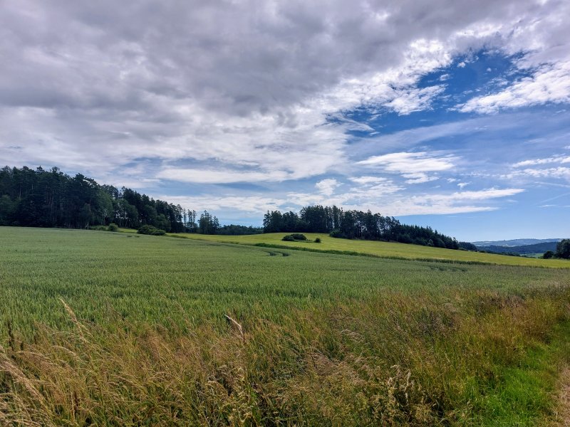 fotografie z akce ... a zpět na Blaník/14. etapa