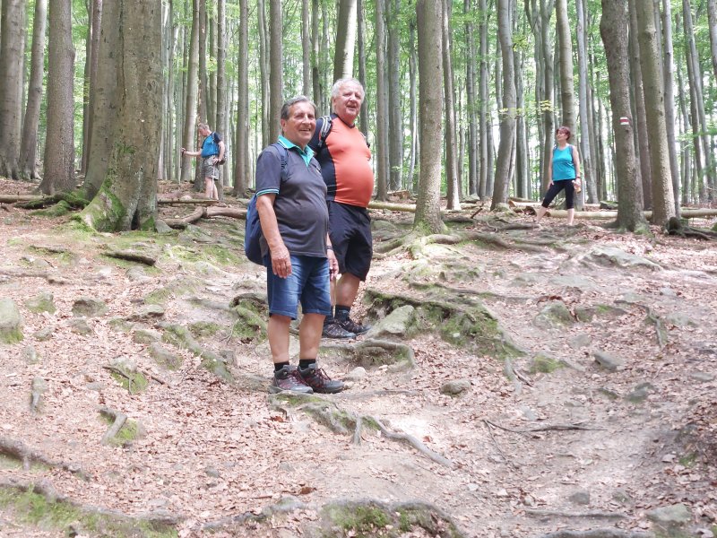 fotografie z akce ... a zpět na Blaník/14. etapa