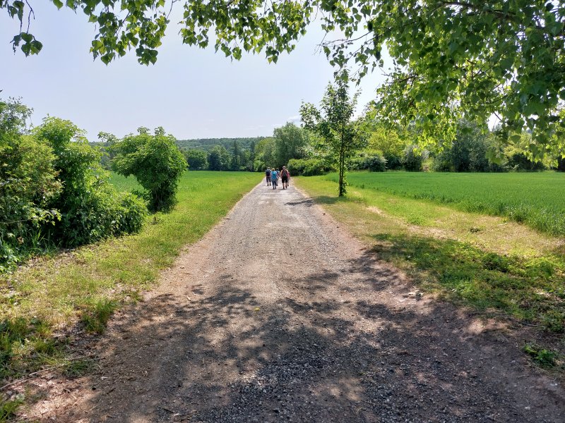 fotografie z akce ... a zpět na Blaník/6. etapa