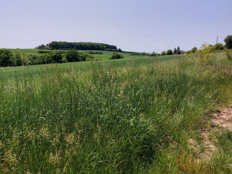 fotografie z akce ... a zpět na Blaník/6. etapa