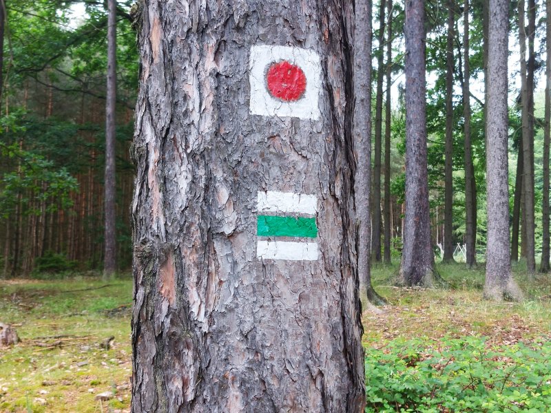 fotografie z akce ... a zpět na Blaník/7.etapa