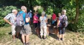 fotografie č. 7
