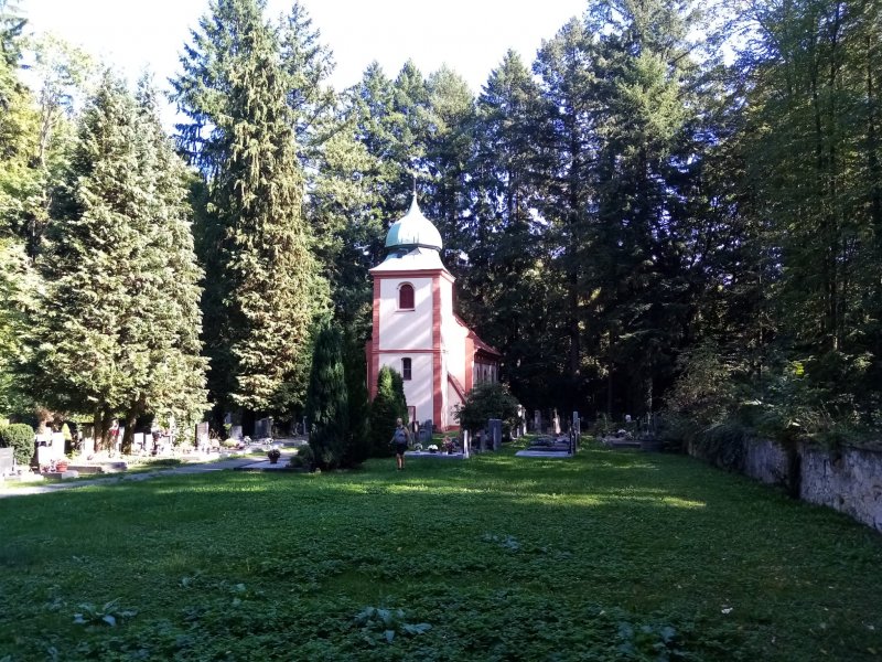 fotografie z akce NsH - Aldašínskou oborou 