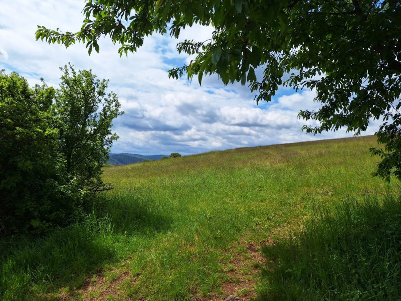 fotografie z akce NsH - Výžerky - Sázava