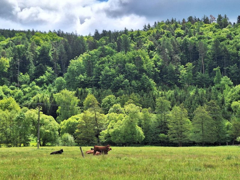 fotografie z akce NsH - Výžerky - Sázava