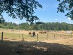 fotografie č. 8