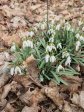 fotografie č. 8