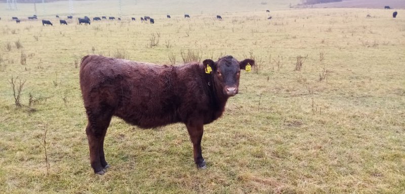 fotografie z akce NsHankou - Srbsko - Beroun