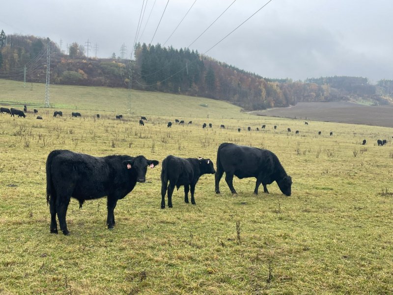 fotografie z akce NsHankou - Srbsko - Beroun