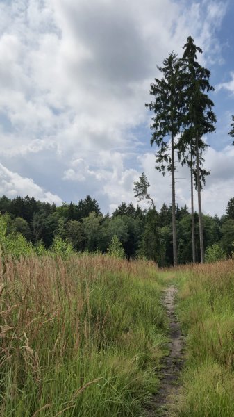 fotografie z akce NsHelčou/Liborem - Do Záporna