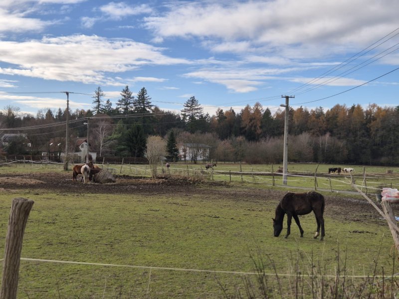 fotografie z akce NsHelčou - Mukařov a okolí