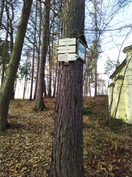 fotografie z akce NsI - Strančice - Čtyřkoly