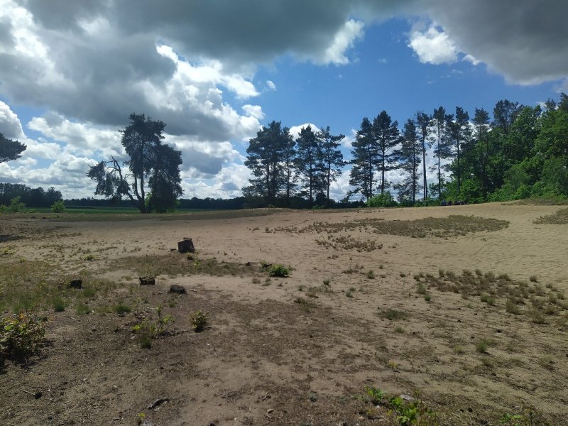 fotografie z akce NsI - Vlkovská pískovna