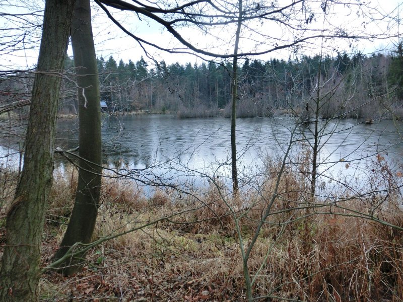 fotografie z akce NsL- Kozojedy-Mukařov 14.5 km