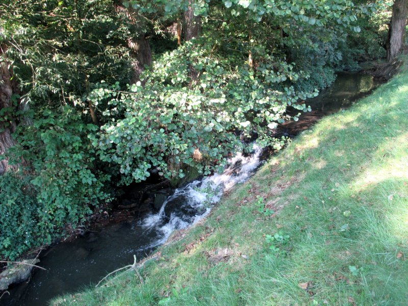 fotografie z akce NsL-Podbaba-Divoká Šárka 15,5