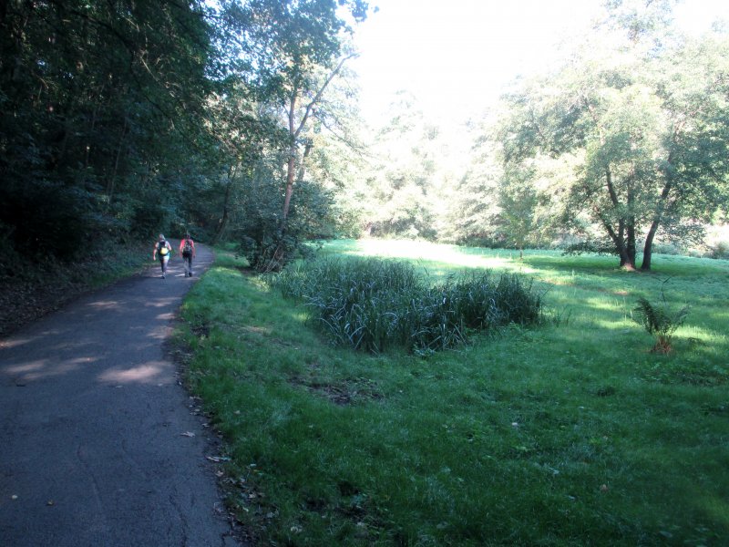 fotografie z akce NsL-Podbaba-Divoká Šárka 15,5