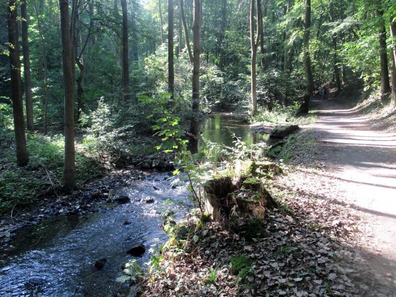 fotografie z akce NsL-Podbaba-Divoká Šárka 15,5