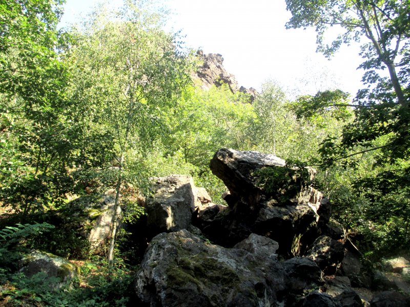 fotografie z akce NsL-Podbaba-Divoká Šárka 15,5