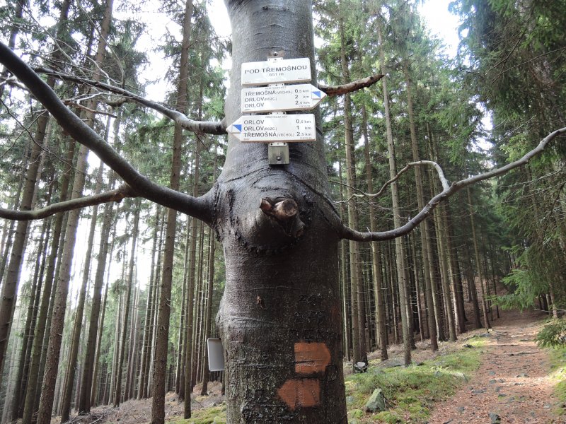 fotografie z akce PŘÍBRAM_ORLOV  Jince 18km Brdy