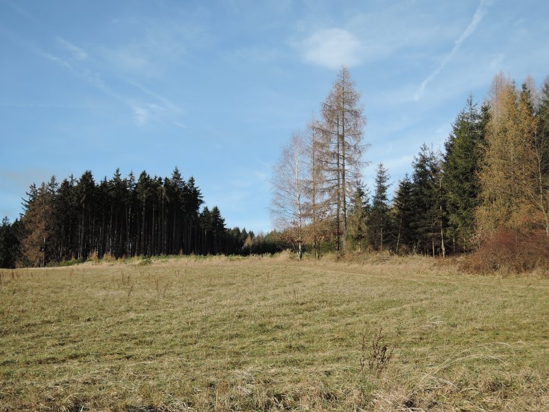 fotografie z akce PŘÍBRAM_ORLOV  Jince 18km Brdy