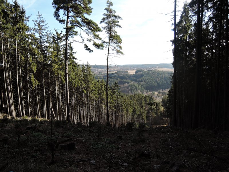 fotografie z akce PŘÍBRAM_ORLOV  Jince 18km Brdy