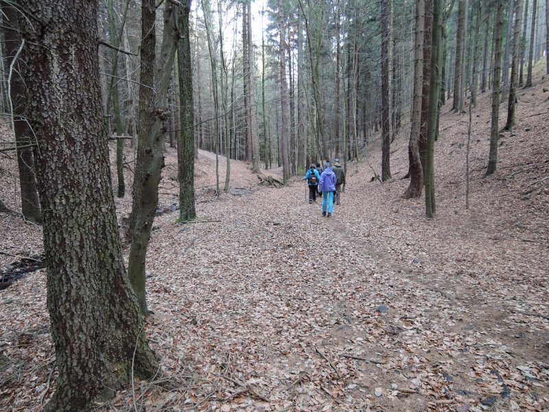 fotografie z akce PŘÍBRAM_ORLOV  Jince 18km Brdy