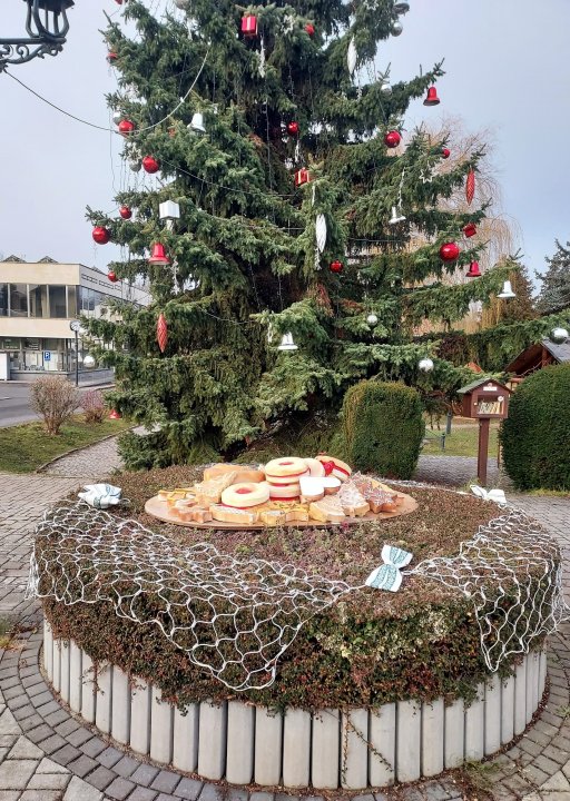 fotografie z akce Po hřebeni Brd s Přemkem