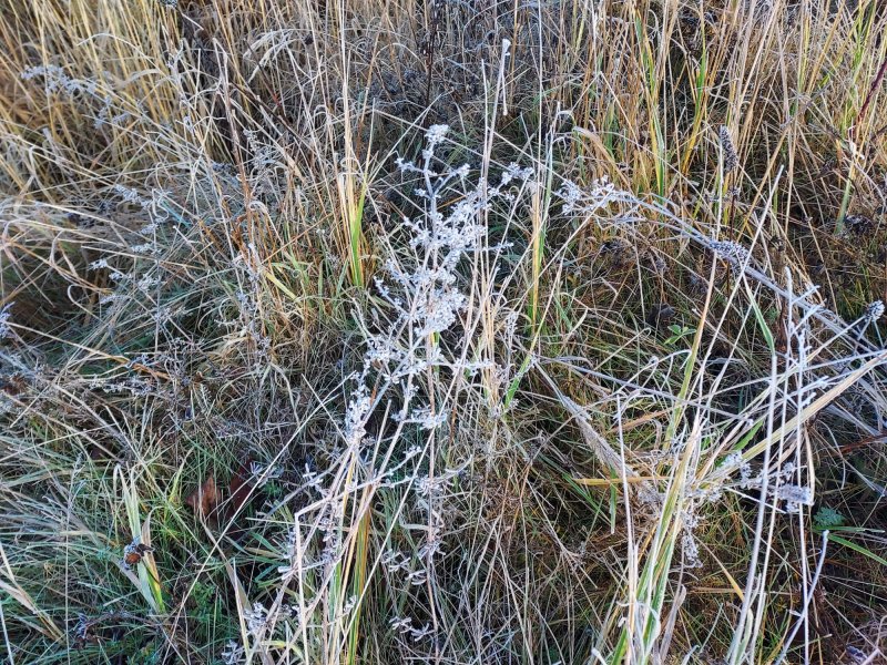 fotografie z akce Po hřebeni Brd s Přemkem