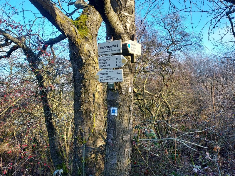 fotografie z akce Po hřebeni Brd s Přemkem