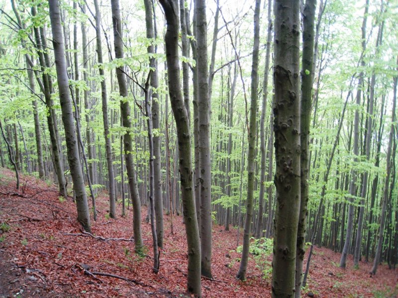 fotografie z akce Rožnov, Krakov, Wieliczka