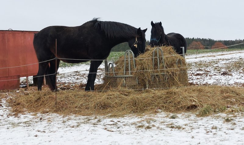 fotografie z akce Silvestrovský vejšlap 2025