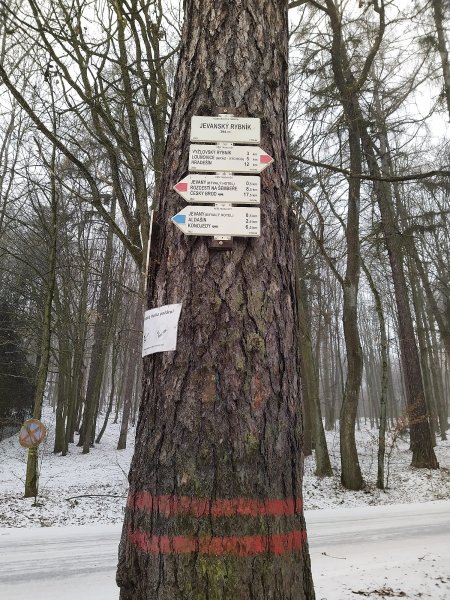 fotografie z akce Silvestrovský vejšlap 2025