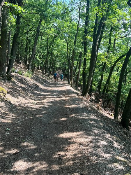 fotografie z akce SsI - Od Vltavy na Závist