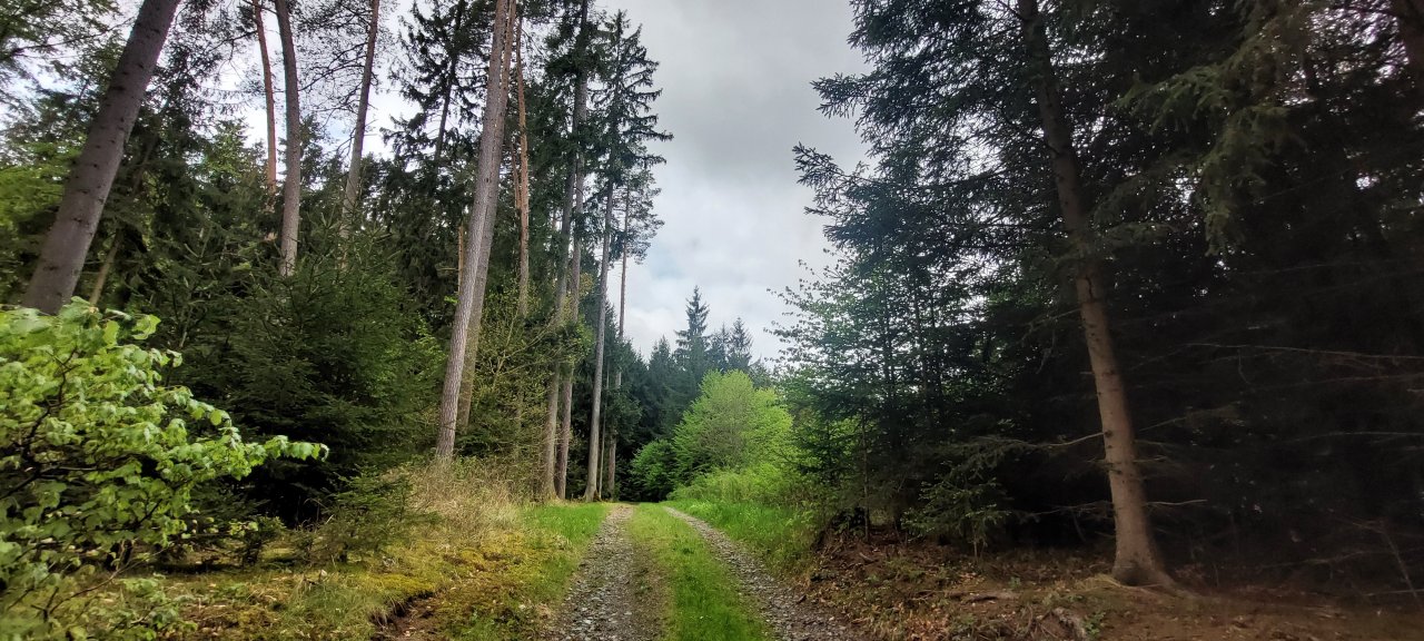 fotografie z akce Sváteční výlet s Přemkem