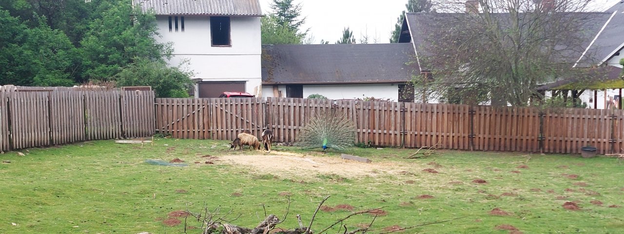 fotografie z akce Sváteční výlet s Přemkem