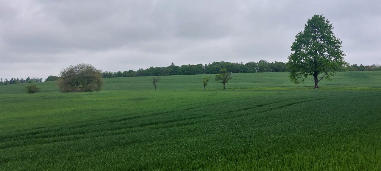 fotografie z akce Sváteční výlet s Přemkem