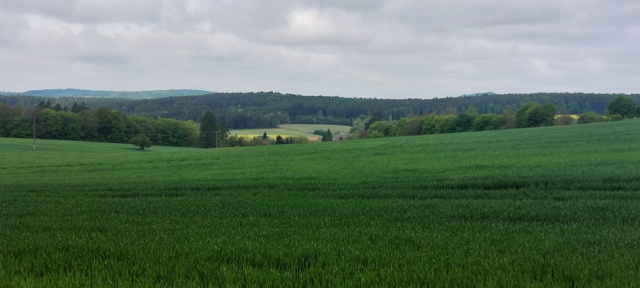 fotografie z akce Sváteční výlet s Přemkem