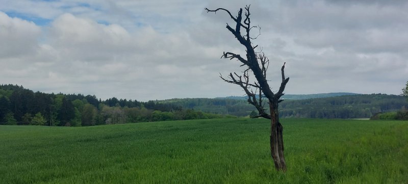 fotografie z akce Sváteční výlet s Přemkem