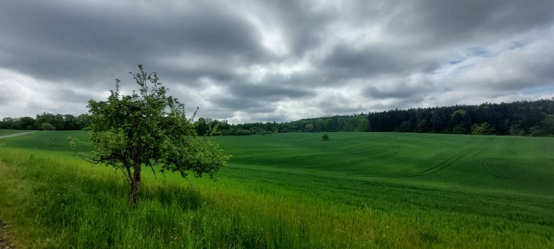 fotografie z akce Sváteční výlet s Přemkem